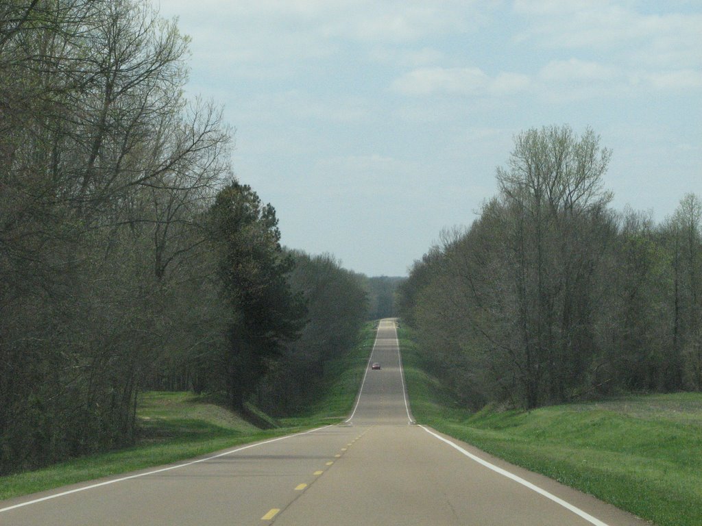 Highway 100 heading into Hatchie Bottoms
