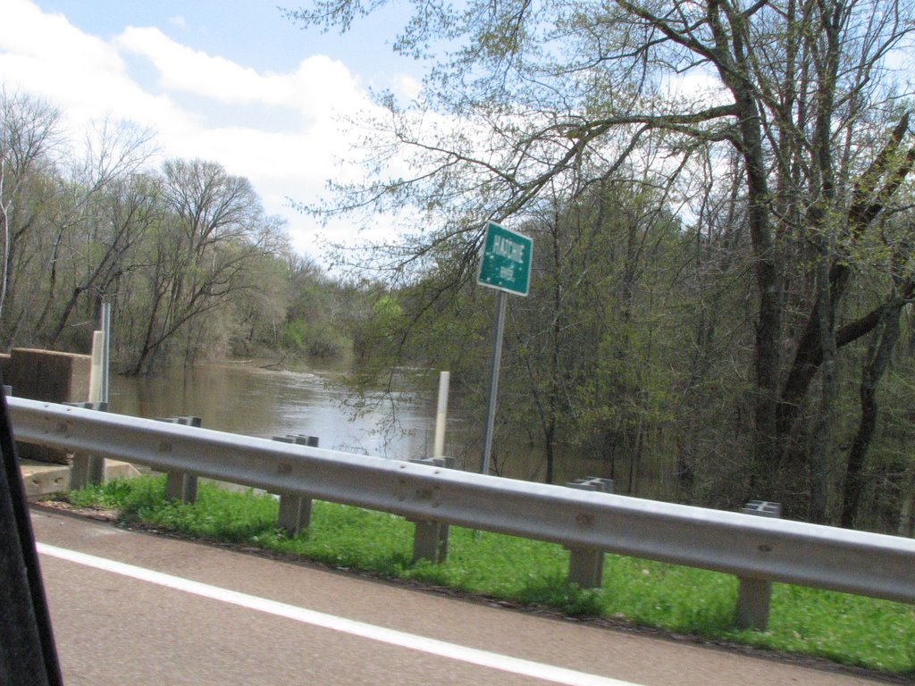 Flooded Hatchie River