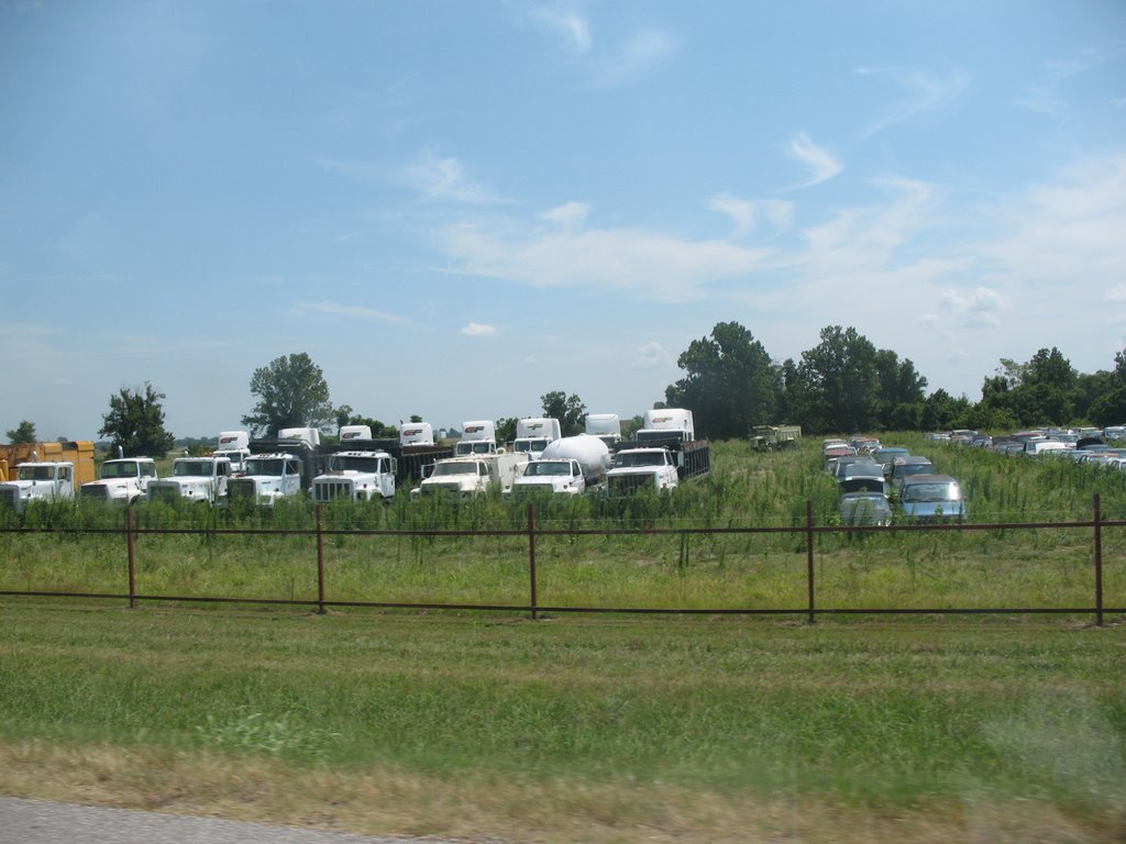 Semis in a field