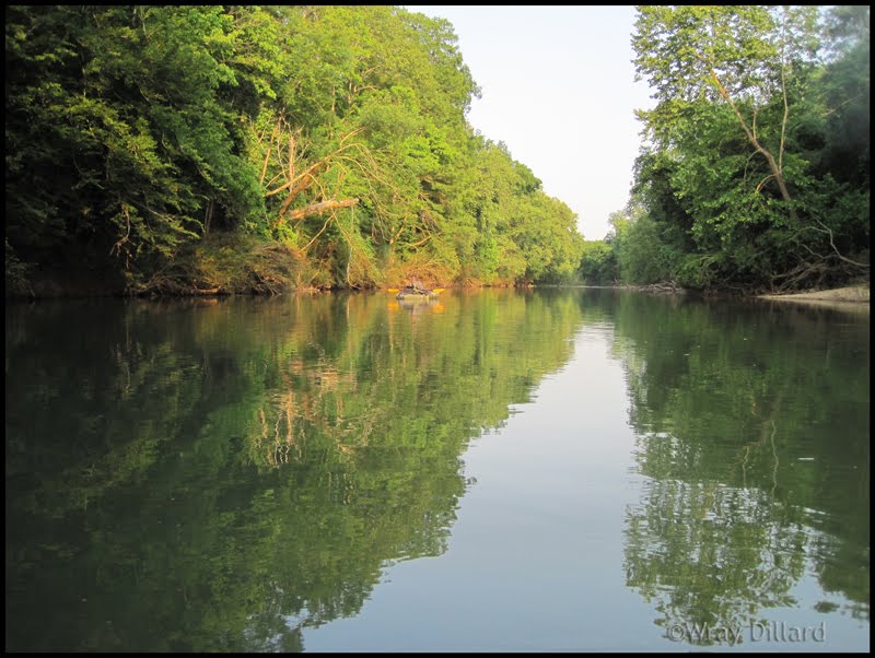 Cypress Creek