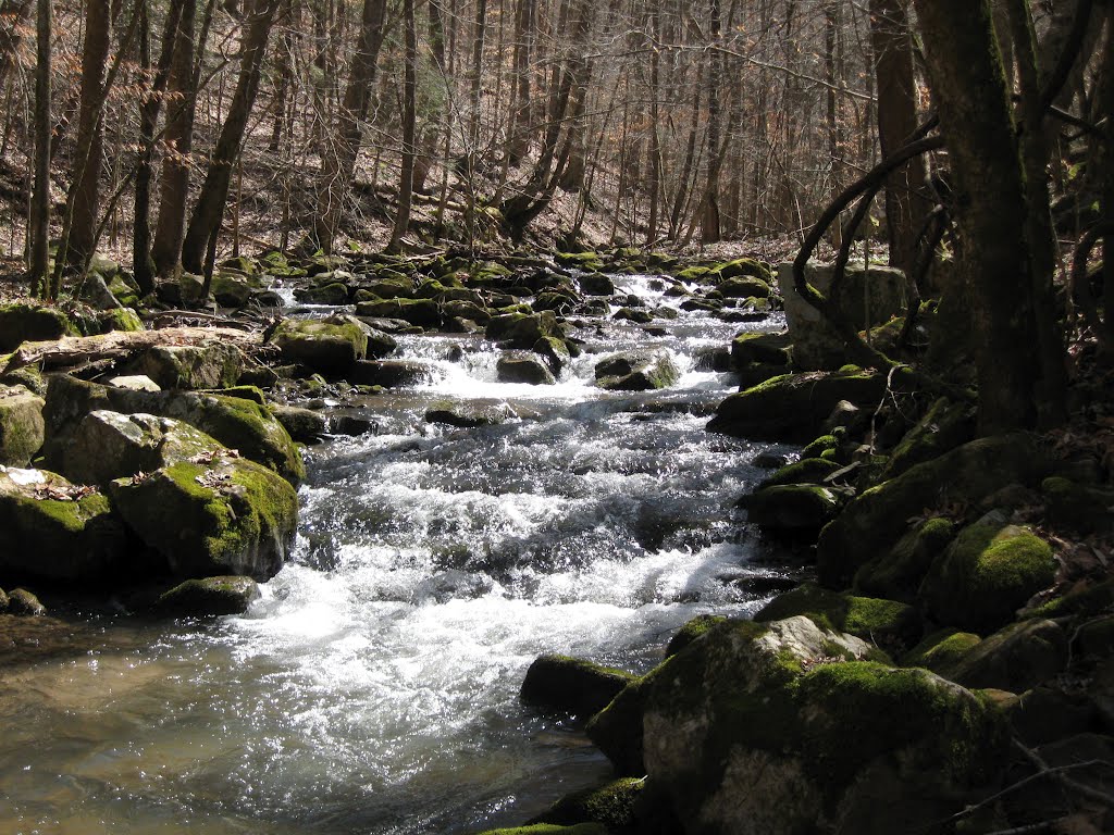 Laurel Run Park, Church Hill, TN