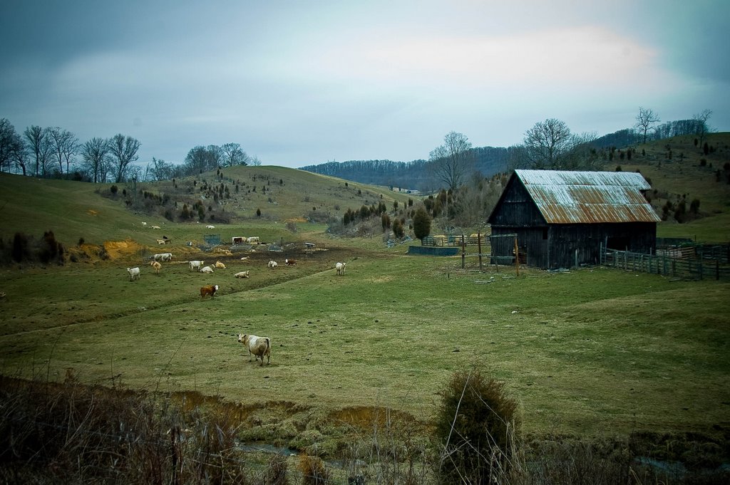Barn 2