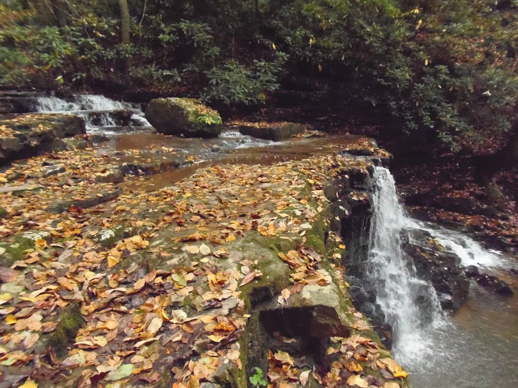Laurel Run Falls