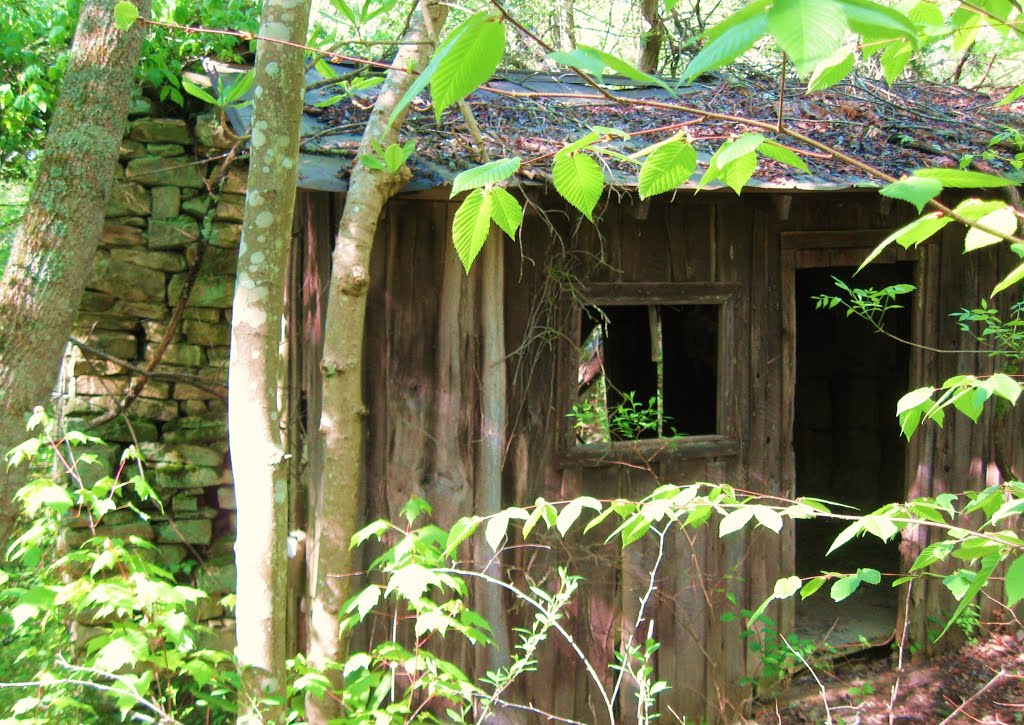 Asa Simpson Home