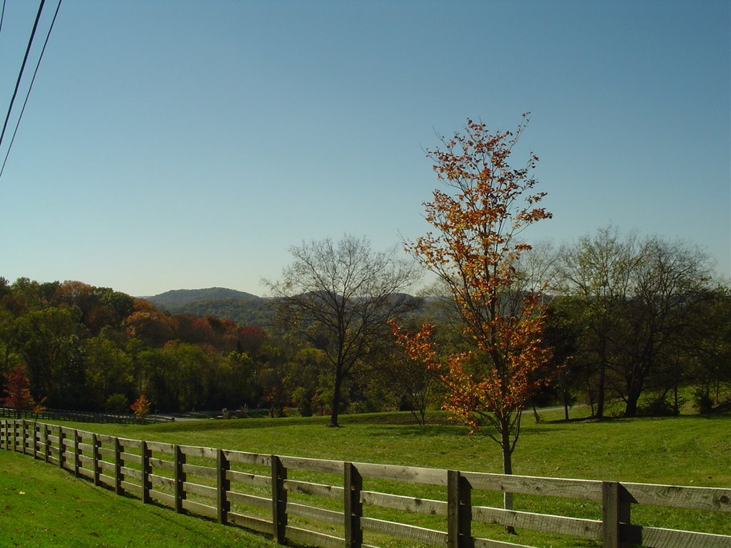 Franklin, TN Pasture