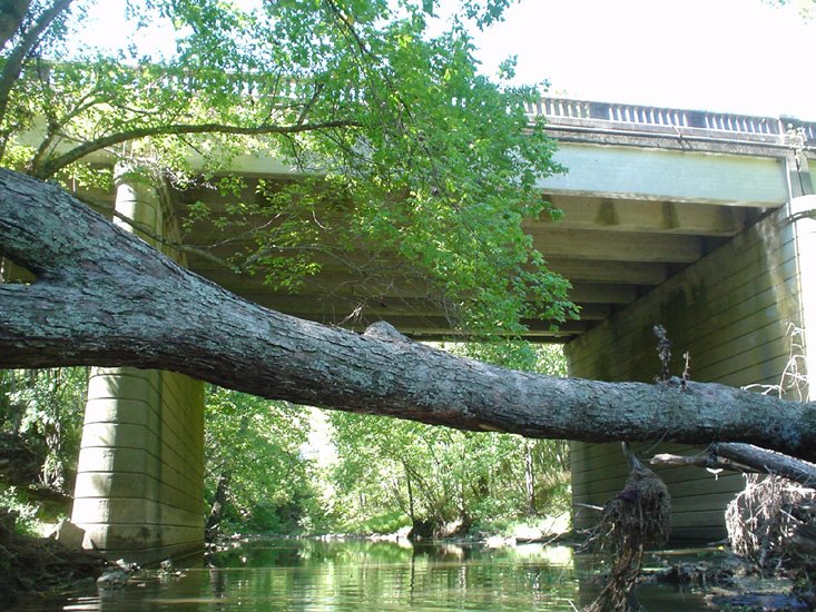 Harpeth River @ Franklin Road Bridge