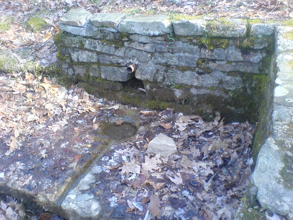 Round Knob Spring
