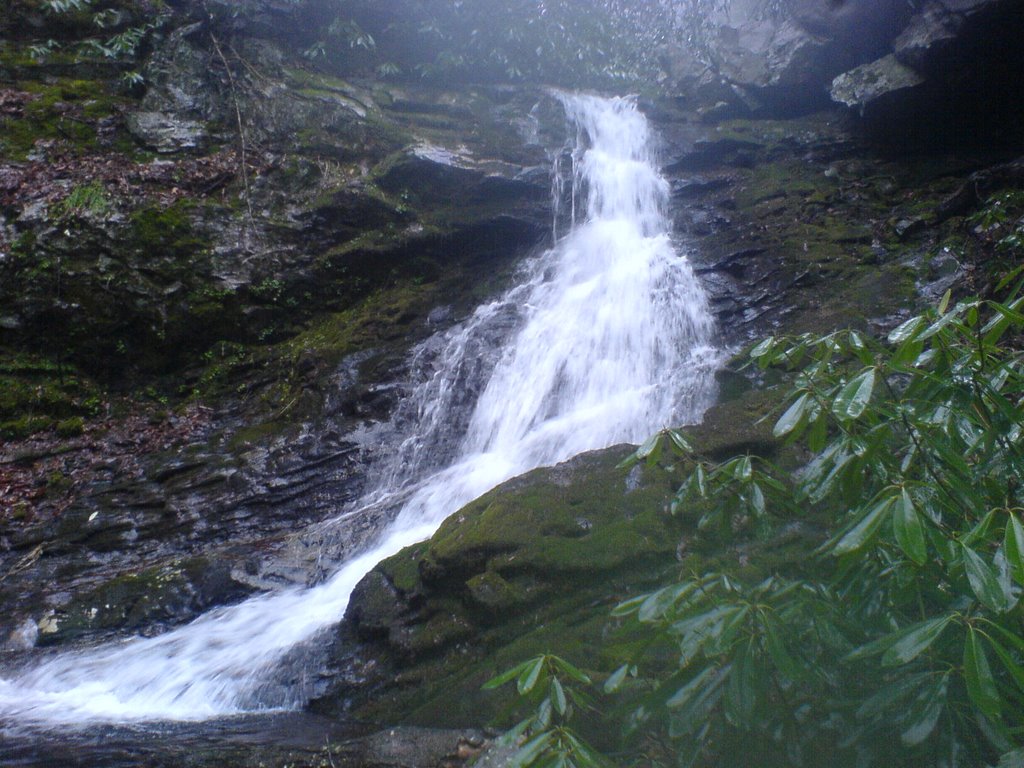 Squibb Creek Falls