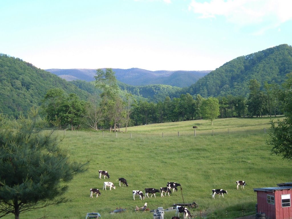 Horse Creek Park Rd