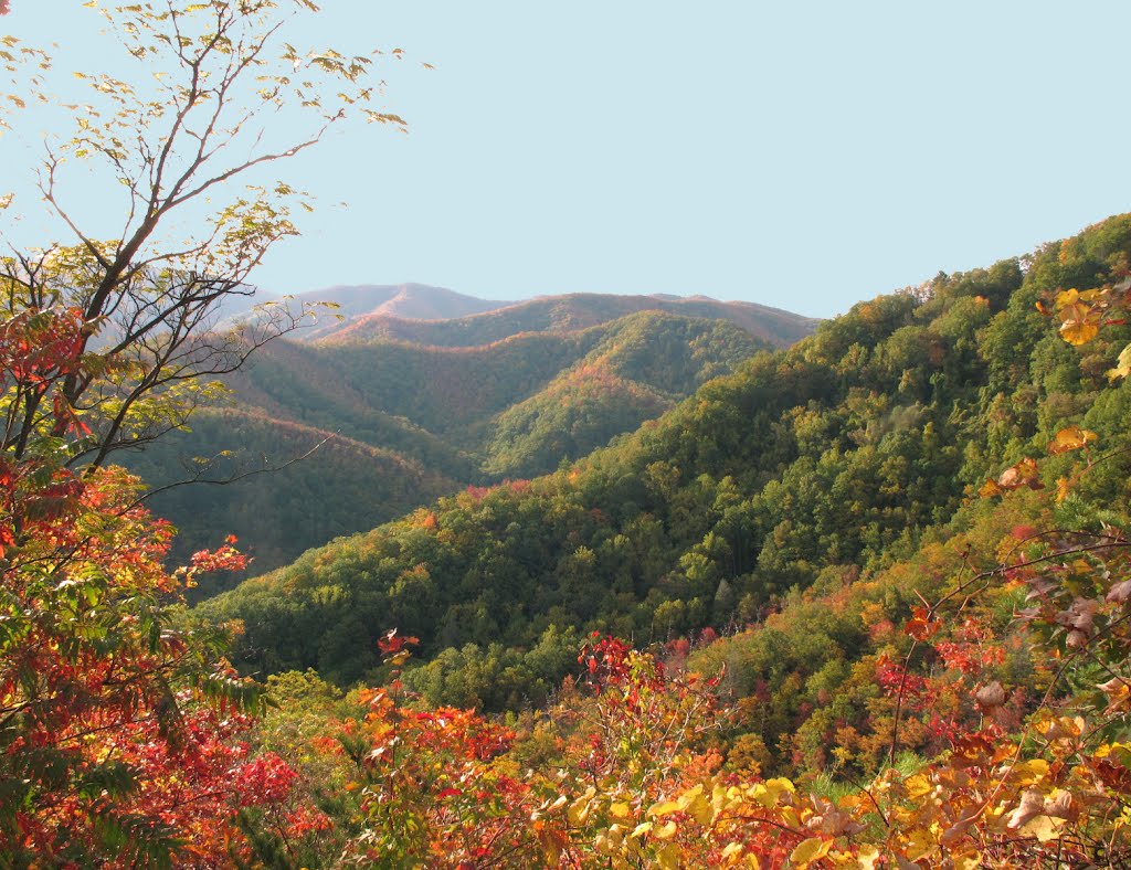 Round Knob, Tennessee