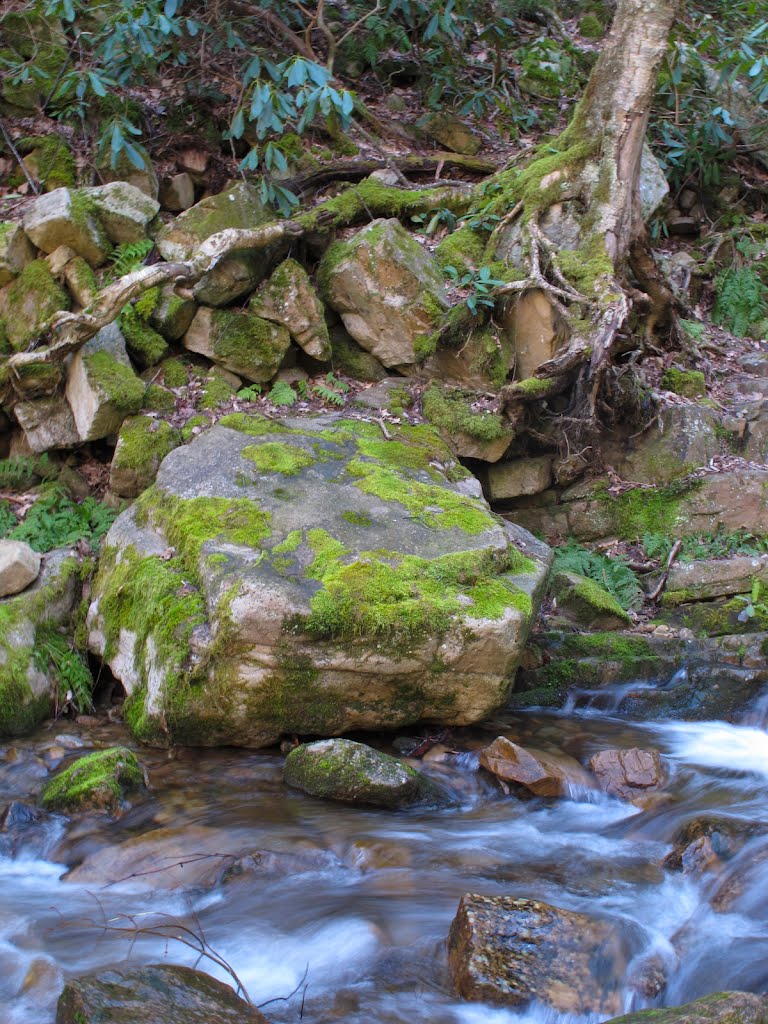 Below Margarette Falls, Greeneville TN