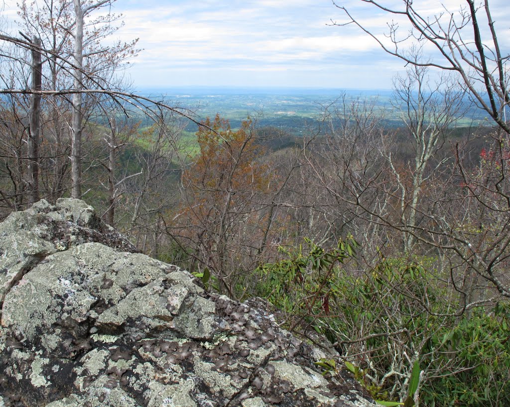 Turkey pen cove trail