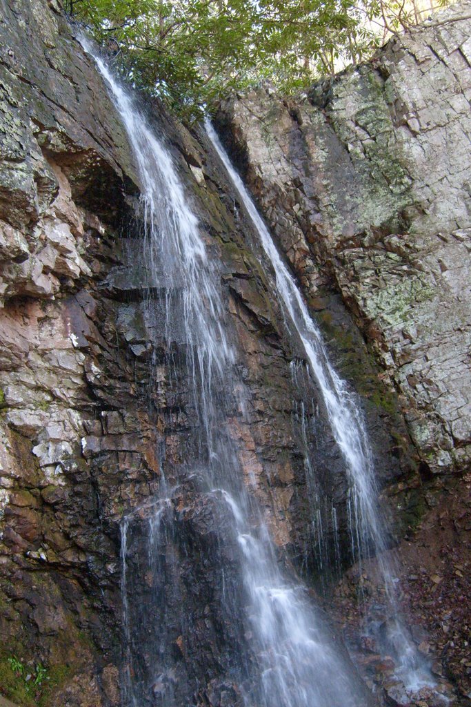 petes branch falls