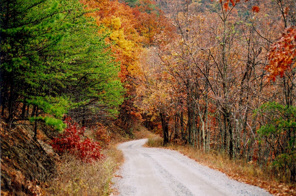 Green Mountain Rd