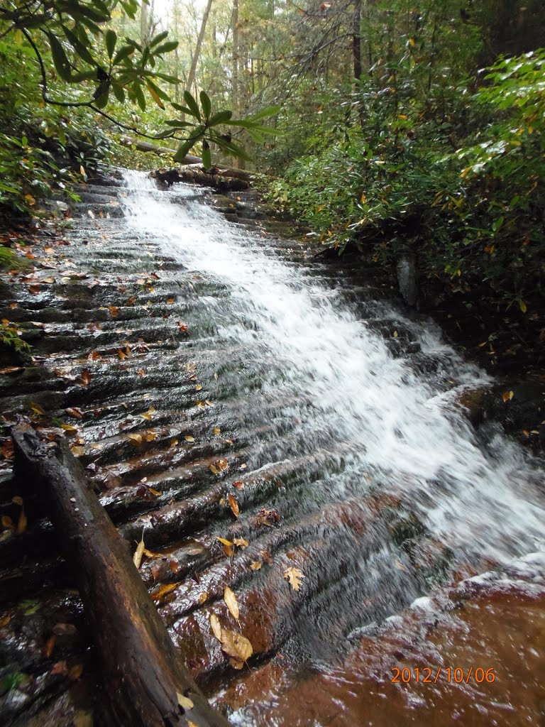 Phillips Hollow Upper Cascade
