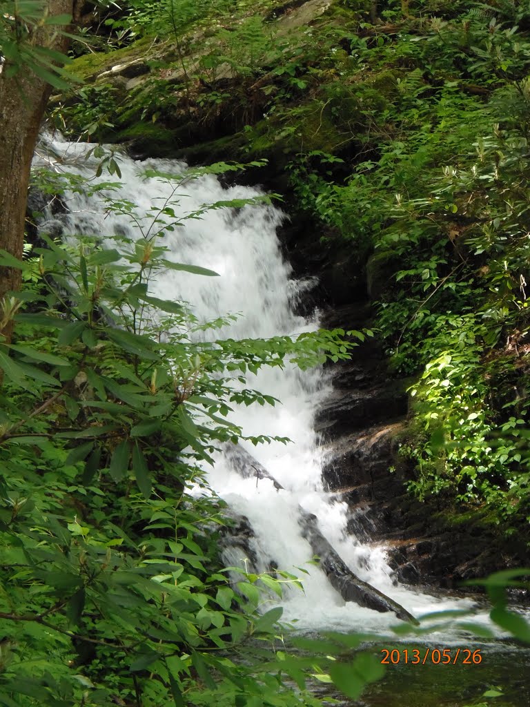 Fall on the Phillips Hollow Trail