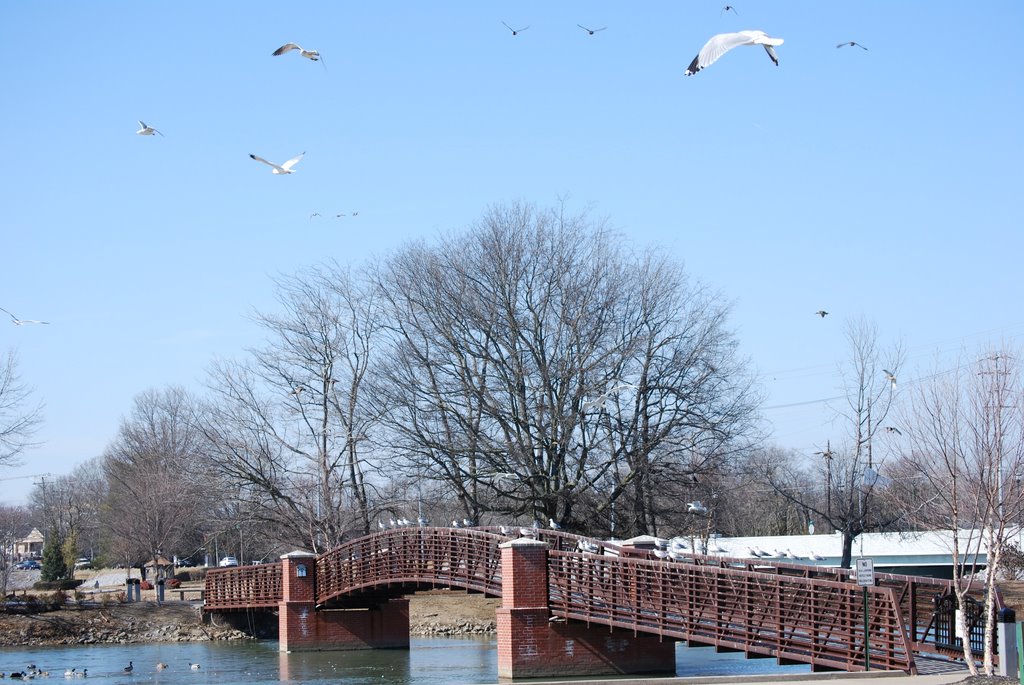 Friendship Bridge, Hendersonville, TN