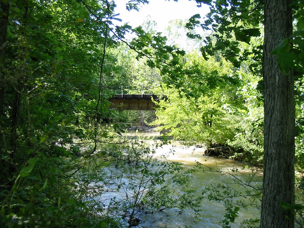 Biking in Hendersonville