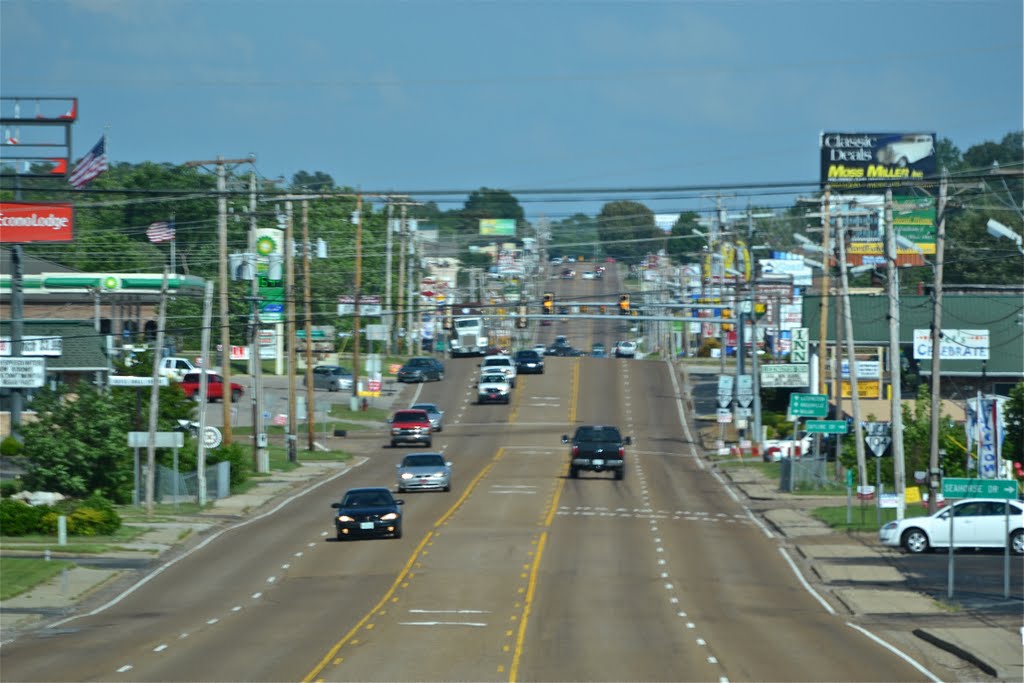Lexington TN