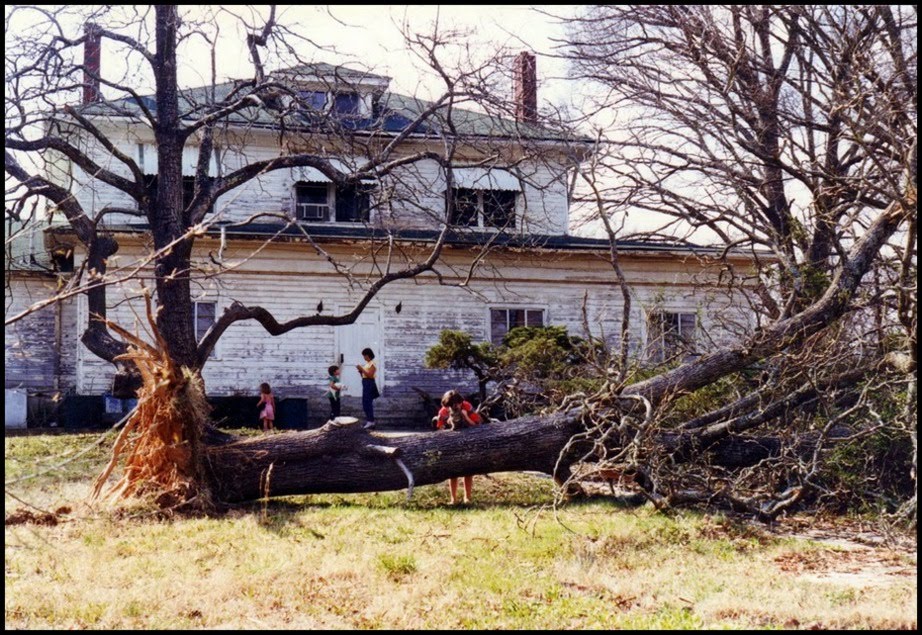 Asylum in Byhalia Mississippi where William Faukner had died on July 6, 1962.