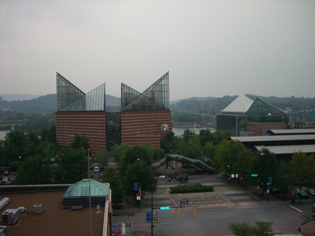 Tennessee Aquarium