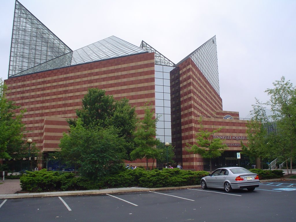 Tennessee Aquarium