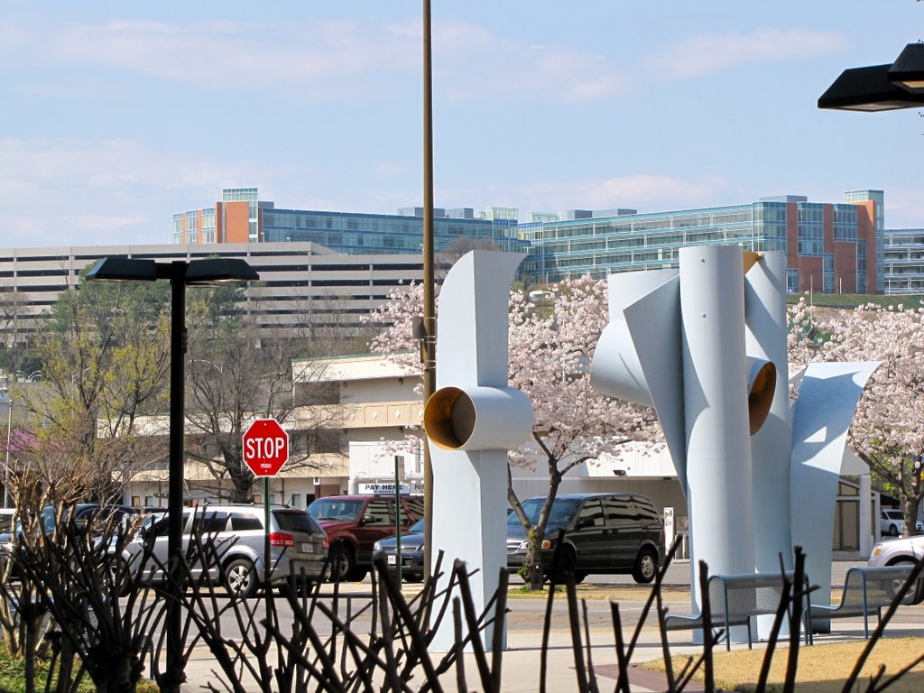 Blue Cross HQ Viewed from the TVA Complex