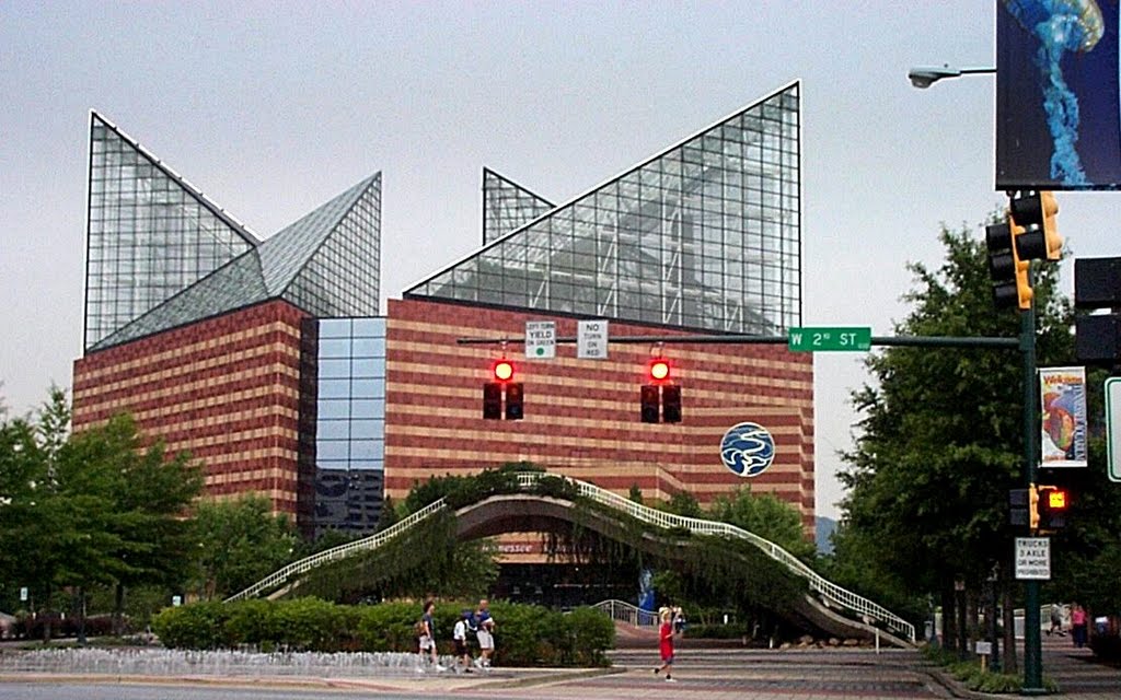 Chattanooga aquarium