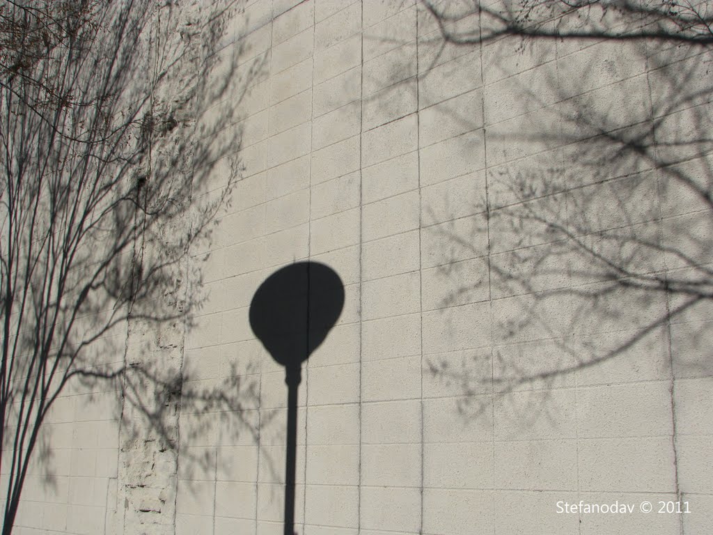 Shadows... in Chattanooga (TN) Gen 2011