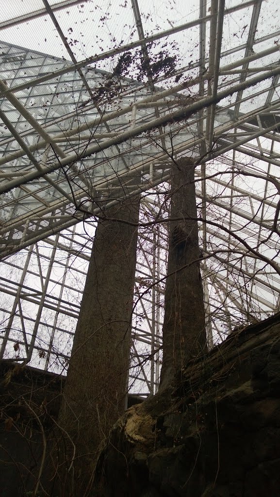 Concrete Forest