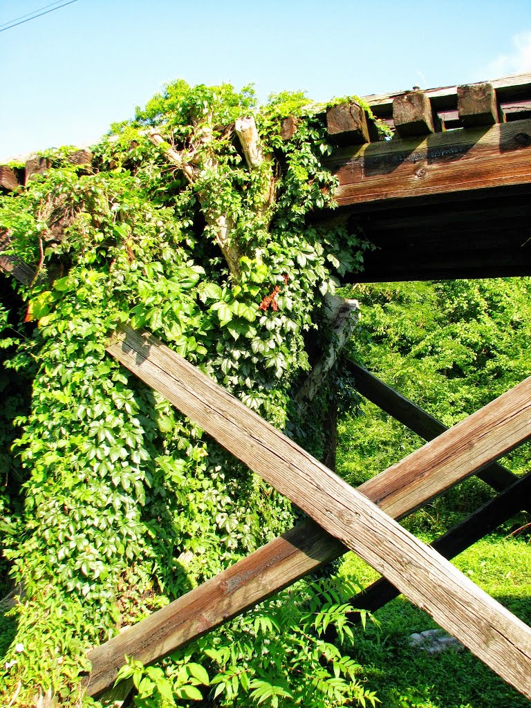 Unused railroad trestle along West Jackson Street, Shelbyville - Walking Horse and Eastern (WHOE) Railway