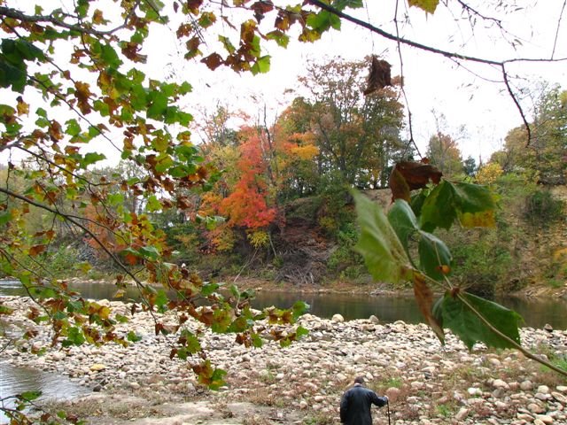 Peeking at the Nolichucky River