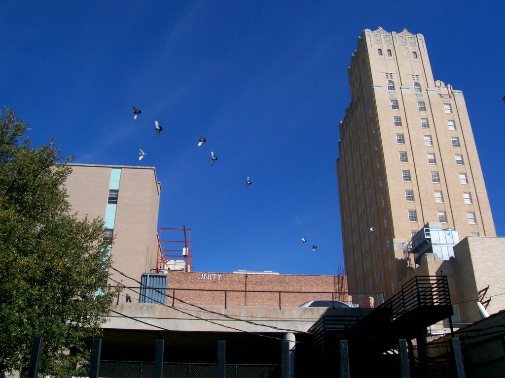 The Wooten and AT&T from Cedar Street