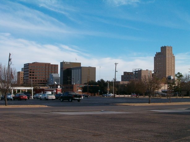 Downtown from afar