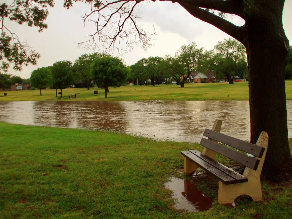 The Rose Park in a flooding creek.