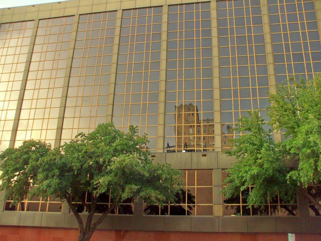 The reflection of the Wooten!