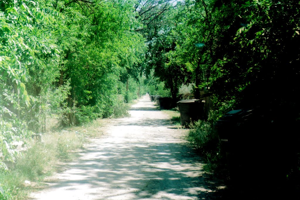 Alley