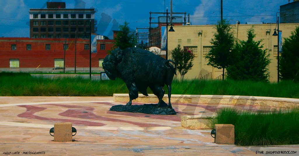 Frontier Buffalo