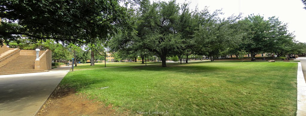 UTA Courtyard, Arlington, Texas