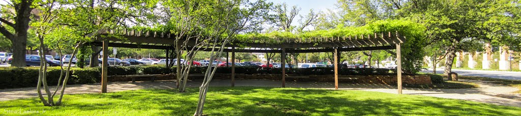 UTA Vine Tunnel
