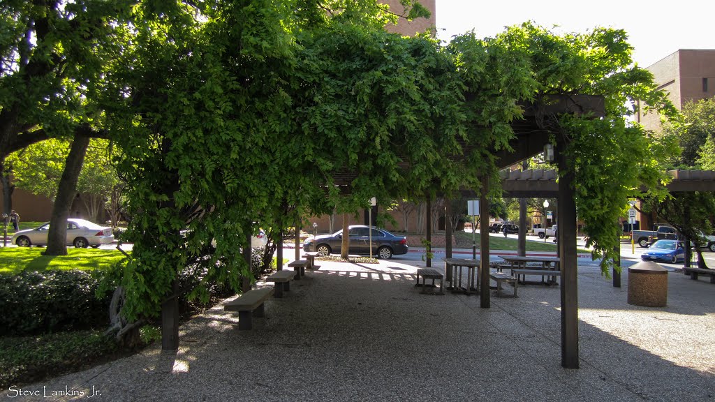 UTA Vine Tunnel