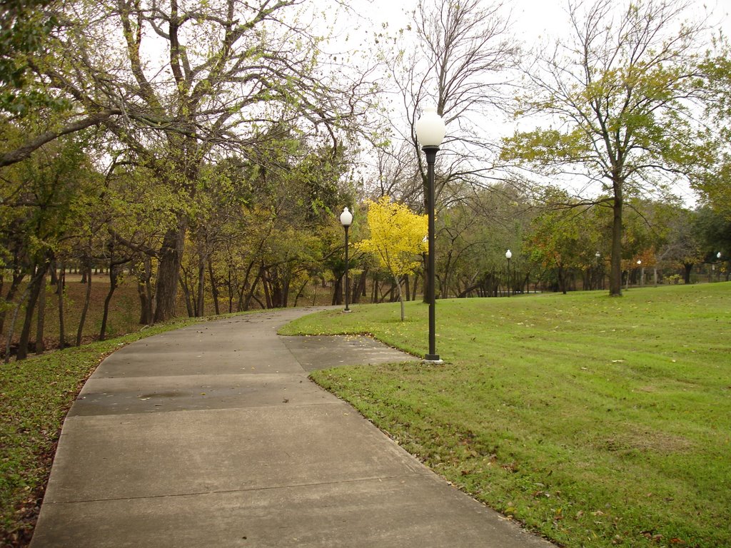 Sidewalk, UT Arlington campus