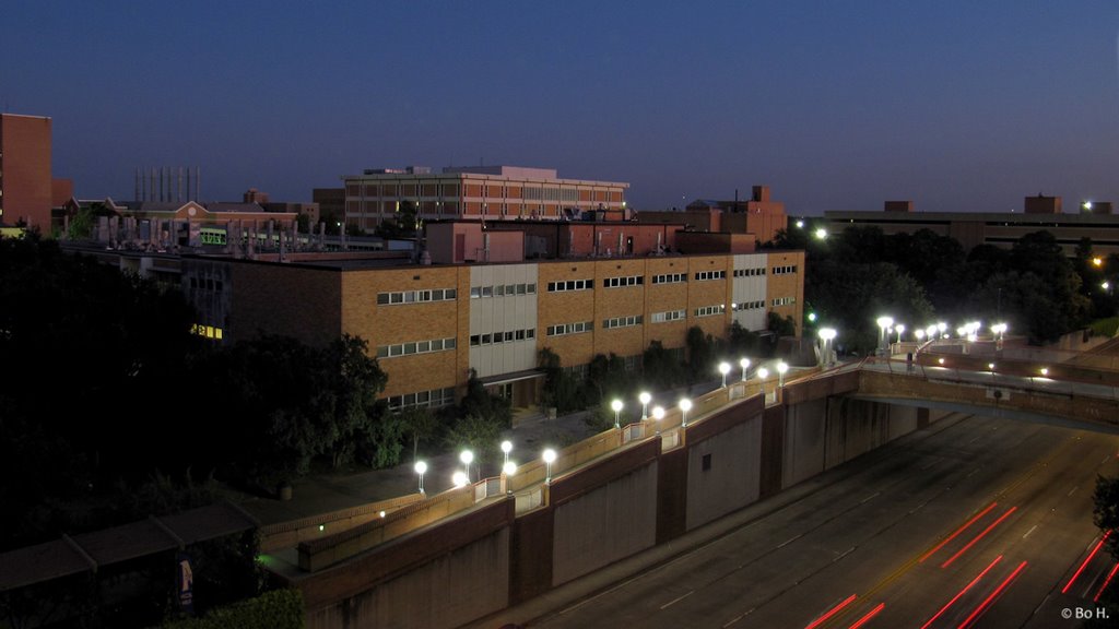 UT Arlington