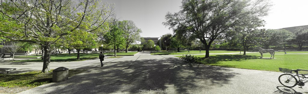 UTA Courtyard
