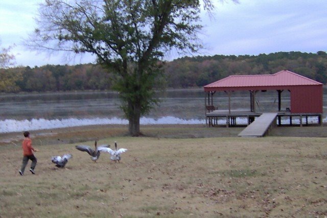 Thanksgiving 2005  007