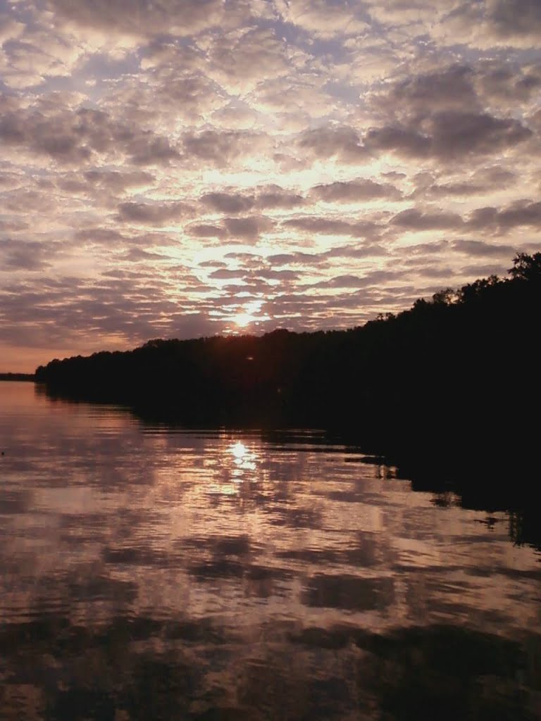 Lake Tyler East