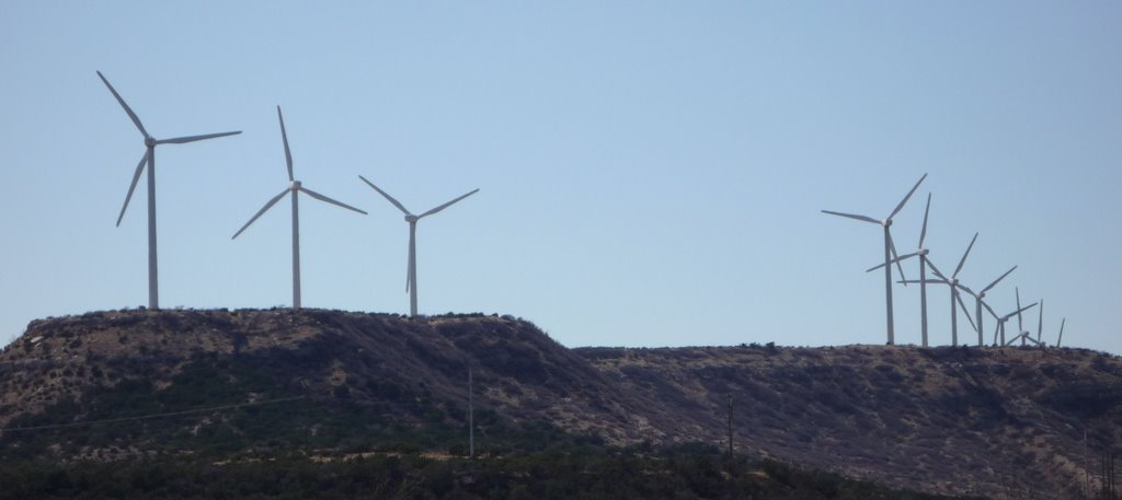 Wind Turbines. Located off I20, between Sweetwater Tx., and Trent Tx.