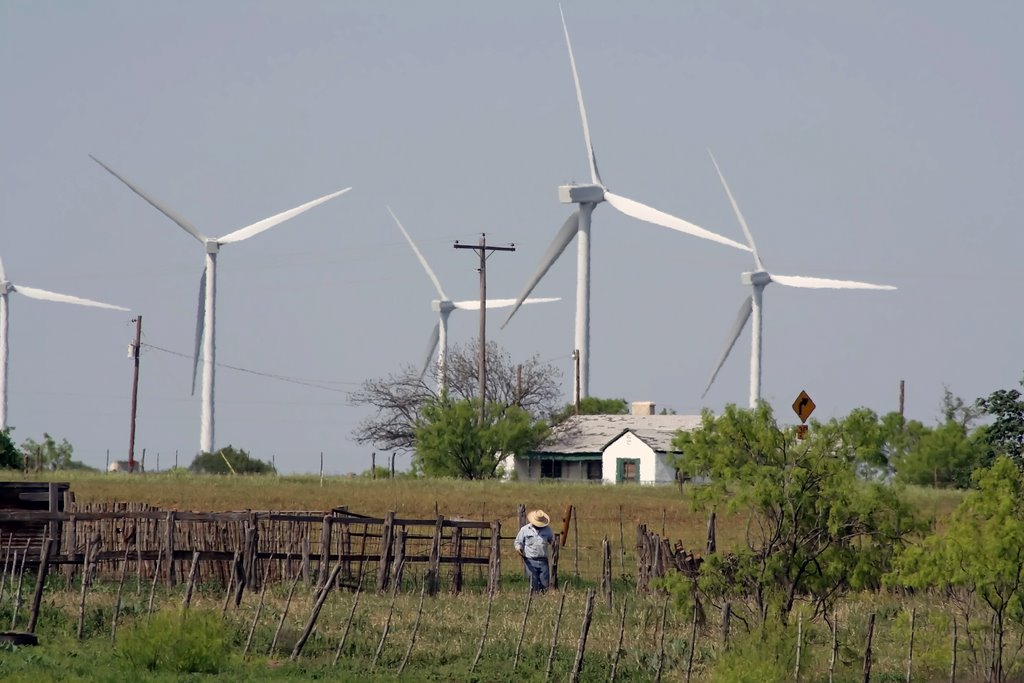 Texas wind farm