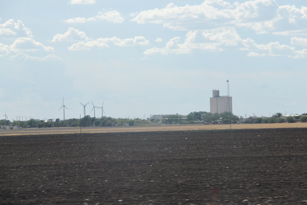 Roscoe tx