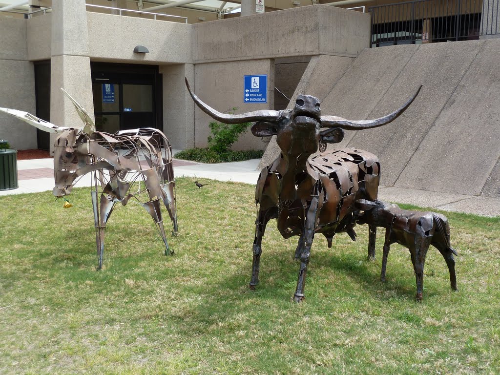 Abilene, TX: Airport Sculpture, "Born to be Free" - Doug Graves, artist, 2011